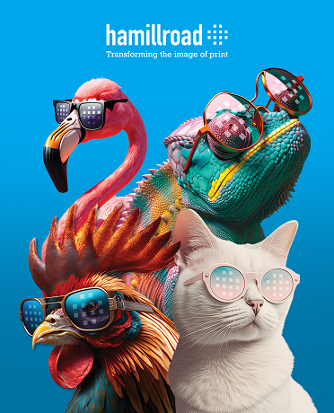 Poster with flamingo, cat, geko and cockrel