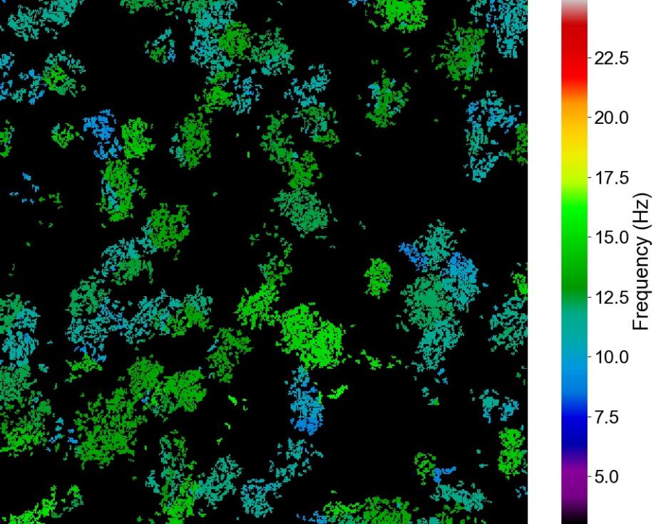 Heat map from CiliaBeat software  demonstrating distribution of actively beating ciliated cells with colour-coded beat frequency