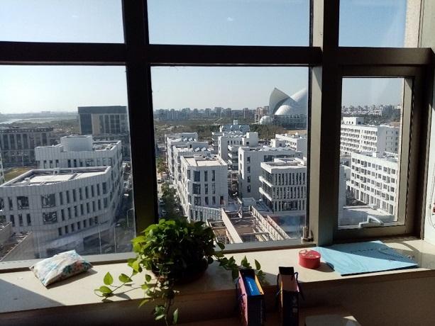 A view out over Lingang from the Lingang Cambridge Network office
