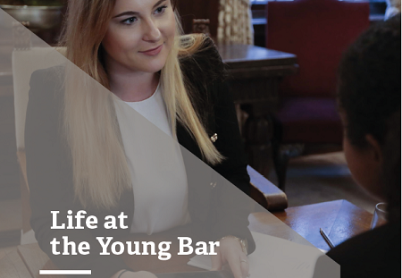 Young Bar report 