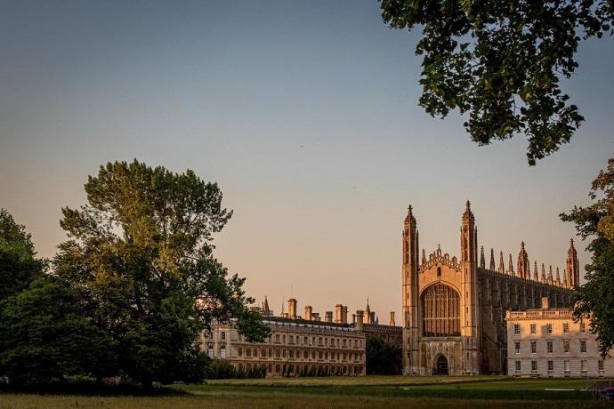 King's College Chapel in twilight with green bushes hanging in the foreground