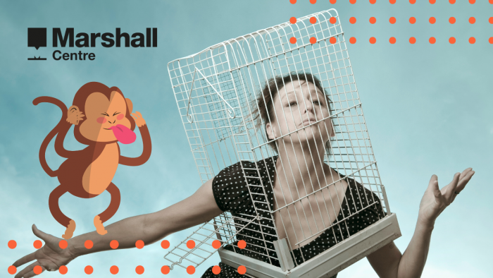 monkey in cage banner