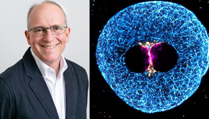 Martyn Blayney and super-resolution immunofluorescence image of 3 PN human zygote