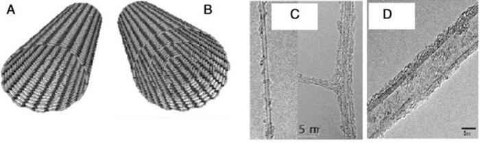 schematic structure and TEM images of SWCNT and MWCNT