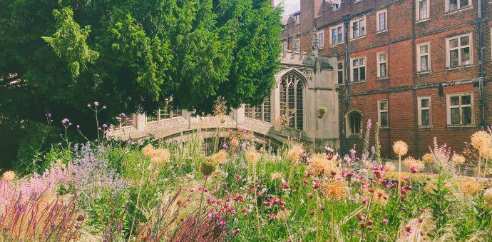 he Bridge of Sighs through wildflowers at St John's College, Cambridge (Credit Zoe Smith_Open Cambridge)
