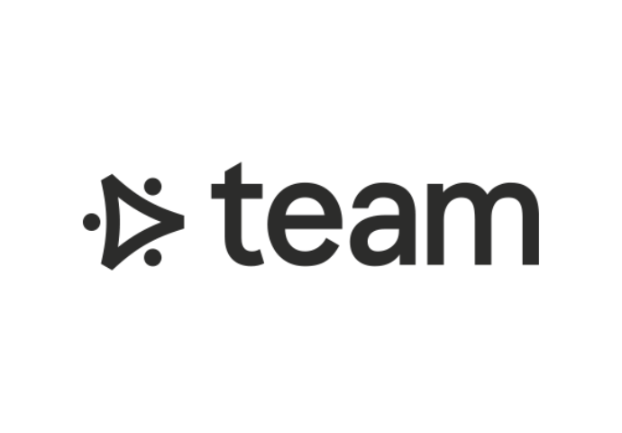 team consulting logo