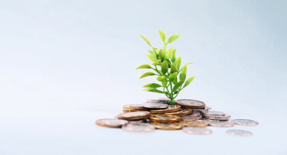 a pile of coins with a plant growing out of the top