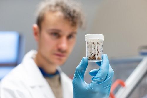 Spotta entomologist with bed bugs in sample vial