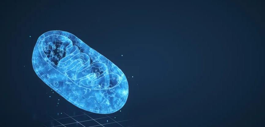 dna image