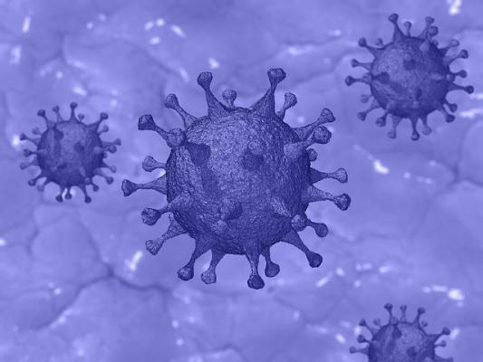 Coronavirus_ image by Pete Linforth from Pixabay