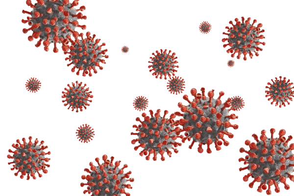 Coronavirus  /Image by Gerd Altmann from Pixabay