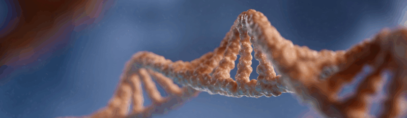 DNA