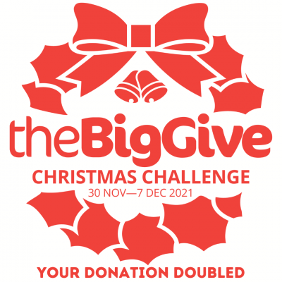 the big give logo