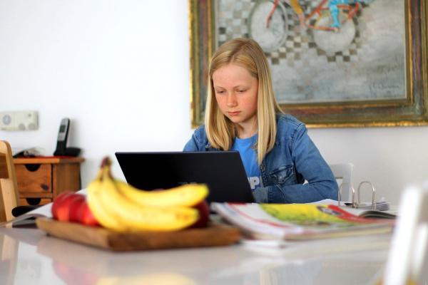 girl on home laptop_Image by Markus Trier from Pixabay