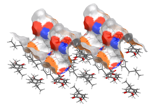 Surface chemistry - the functional groups that contribute to a surface of ibuprofen. A van der Waals surface, generated during analysis with CSD-Particle, shows the surface chemistry at the 002 surface of ibuprofen (CSD Refcode: IBPRAC). Surface colours indicate the properties of the atom closest to each point on the surface: hydrogen bond donors are blue, hydrogen bond acceptors are red, and aromatic groups are shown in orange.