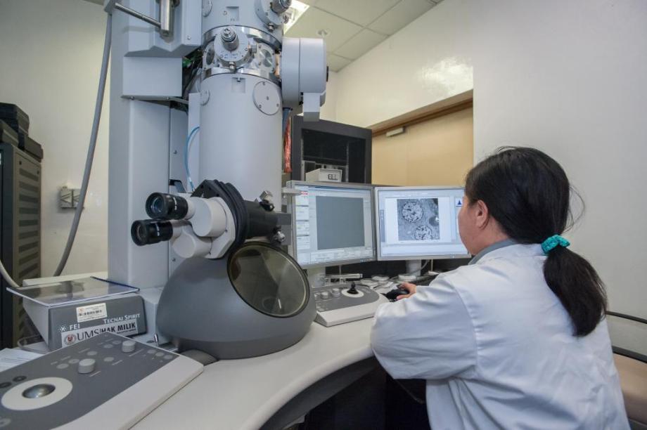 Using category entry points to improve brand recall in Life Sciences