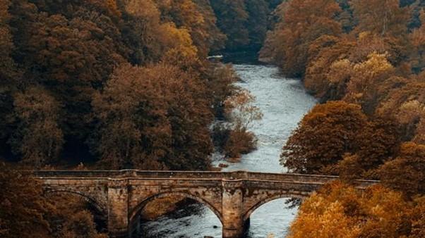 A stone bridge over an autumn river. Credit Dan Smedley on Unsplash