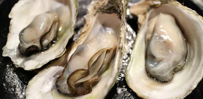   Oysters  Credit: Image by Yung-pin Pao from Pixabay