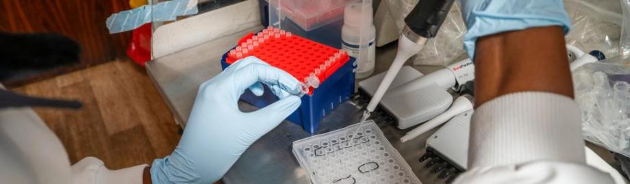 a scientist working 