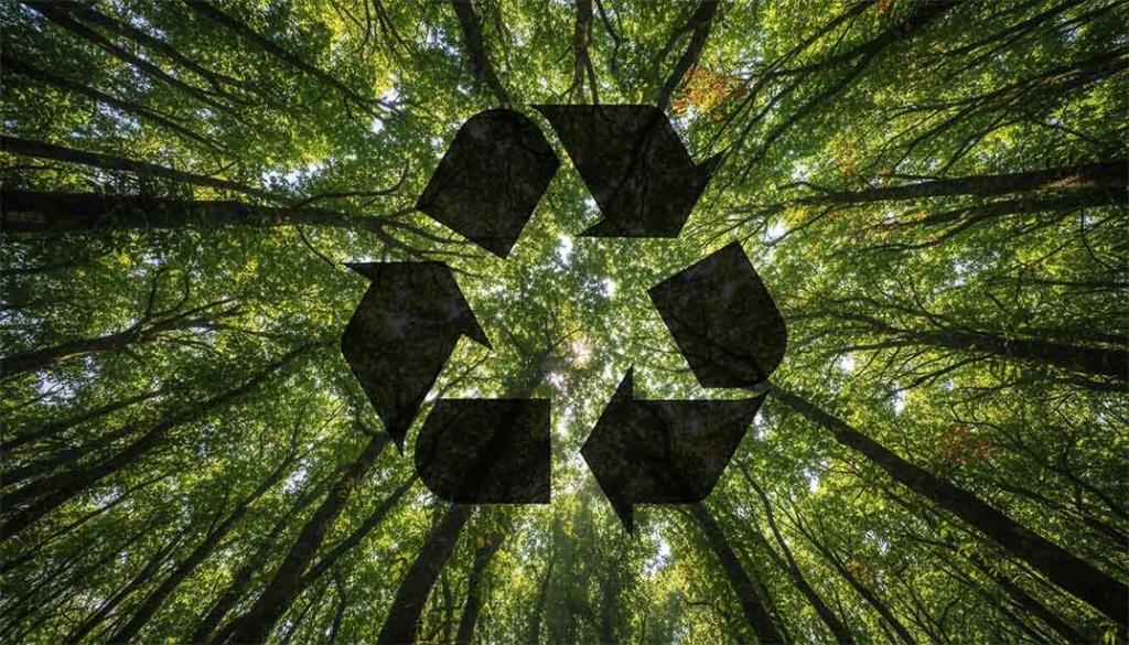 Sustainable Product Design