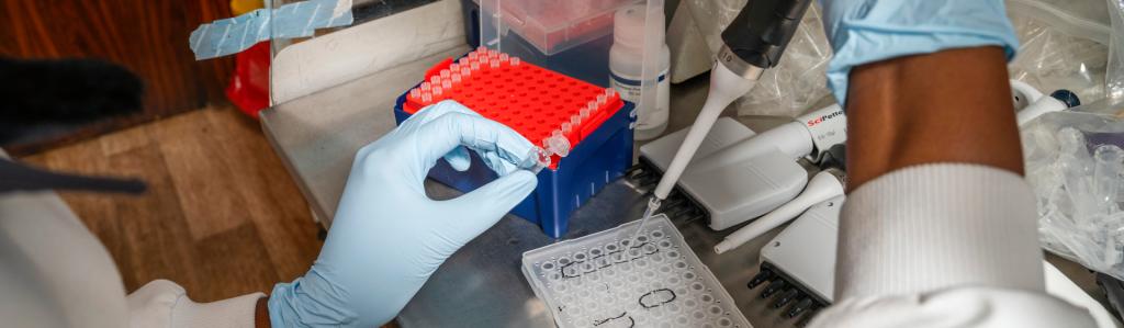 a scientist working 